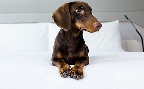 Innside By Melia Barcelona Aeropuerto